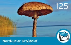 Großbriefmarke - Blende 2018 - 10er-Bogen