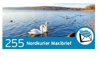 Maxibriefmarke - Am Wasser, Schwäne - Einzelmarke