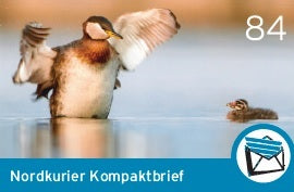 Kompaktbriefmarke - Blende 2018 - 10er-Bogen