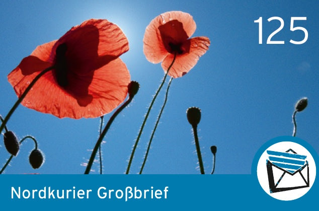 Großbriefmarke - Blende 2017 - 10er-Bogen