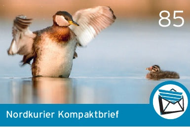 Kompaktbriefmarke - Blende 2018 - 10er-Bogen | Portoänderung 85 Cent