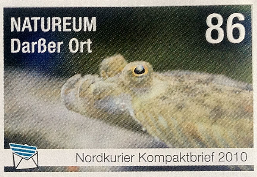 Kompaktbriefmarke - 60 Jahre Deutsches Meeresmuseum Stralsund - Natureum - Einzelmarke