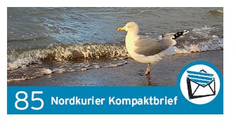 Kompaktbriefmarke - Am Wasser, Möwe - Einzelmarke