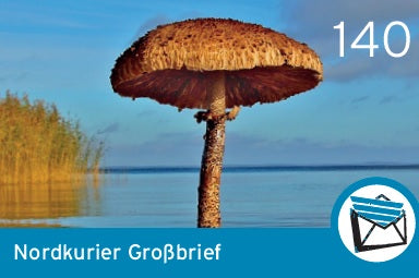 Großbriefmarke - Blende 2018 - 10er-Bogen | Portoänderung 1,40€