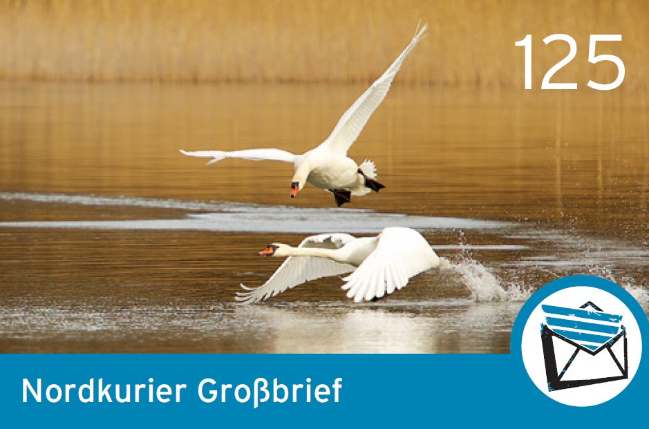 Großbriefmarke - Blende 2015 - 10er-Bogen