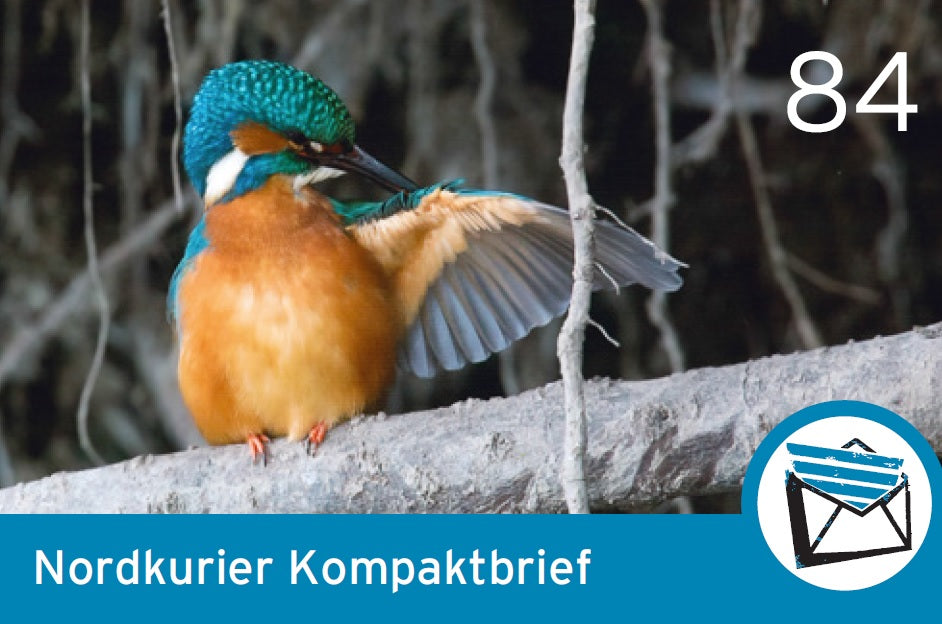 Kompaktbriefmarke - Blende 2015 - 10er-Bogen