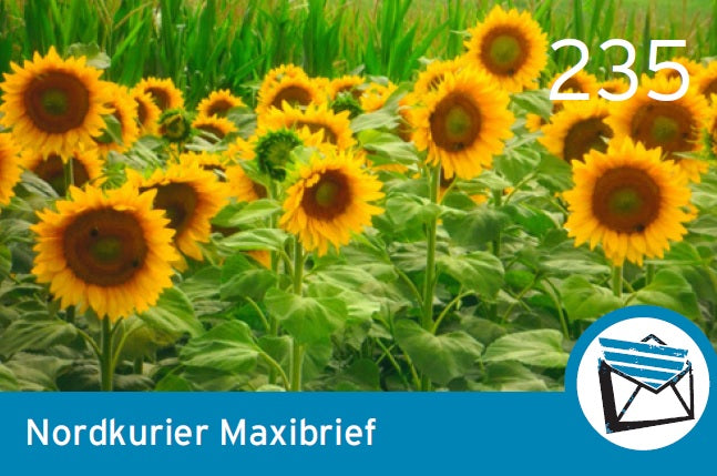 Maxibriefmarke - Blende 2016 - 10er-Bogen