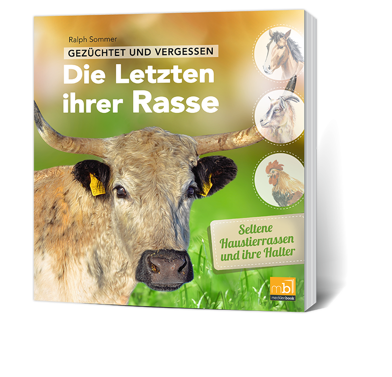 Gezüchtet und Vergessen - Die letzten ihrer Rasse