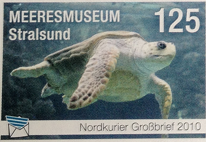 Großbriefmarke - 60 Jahre Deutsches Meeresmuseum Stralsund - Meeresmuseum - Einzelmarke (Kopie)
