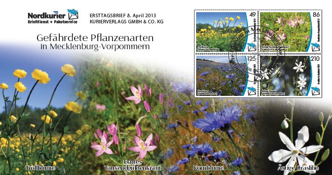 Sonderbriefmarke - Gefährdete Pflanzenarten in Mecklenburg-Vorpommern - Ersttagskarte