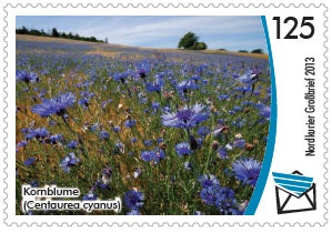 Großbriefmarke - Gefährdete Pflanzenarten in Mecklenburg-Vorpommern - 10er-Bogen