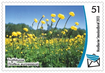 Standardbriefmarke - Gefährdete Pflanzenarten in Mecklenburg-Vorpommern - 10er-Bogen | Portoänderung 51 Cent