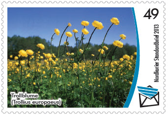 Standardbriefmarke - Gefährdete Pflanzenarten in Mecklenburg-Vorpommern - 10er-Bogen